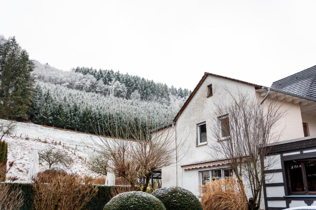 Hotel Tiefenhagen Sauerland Ленещат Екстериор снимка