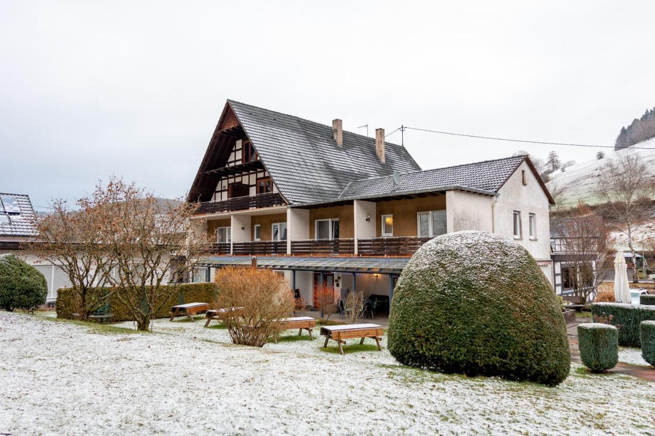 Hotel Tiefenhagen Sauerland Ленещат Екстериор снимка