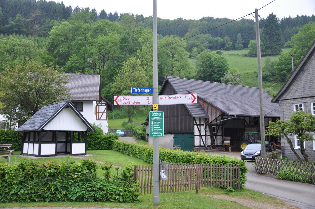 Hotel Tiefenhagen Sauerland Ленещат Екстериор снимка